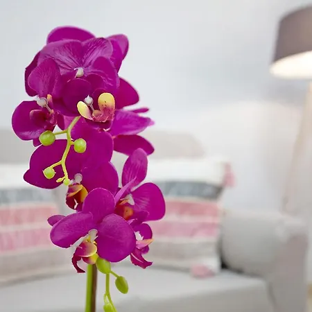 Casita Amiga Del Mar *